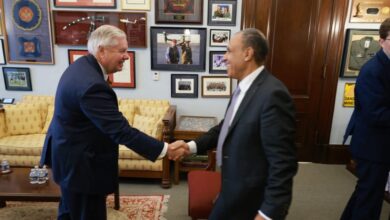 وزير الخارجية والهجرة يلتقى السيناتور ليندسى جراهام بمجلس الشيوخ الأمريكى