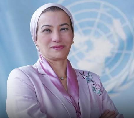 وزارة البيئة المصرية، الاستدامة في مصر