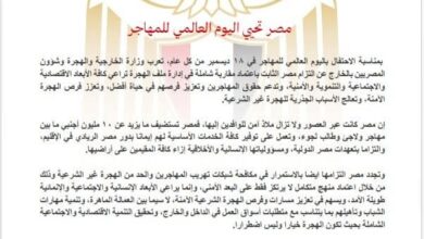 المصدر: بيان صحفي صادر عن وزارة الخارجية والهجرة وشئون المصريين بالخارج".