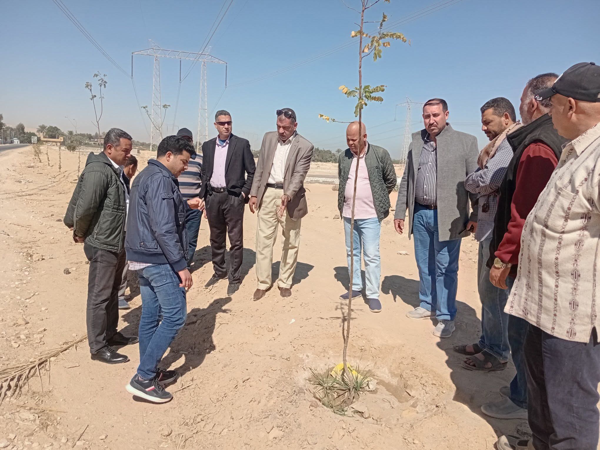 تجميل مسار العائلة المقدسة بمركز القوصية