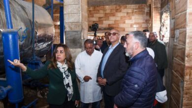 وزيرة التنمية المحلية والبيئة .. تقيل مدير الطب البيطري بالأسكندرية لوجود مخالفات جسيمة بالمجزر الآلي بالعامرية