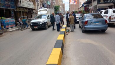  «جميلة يا بلدي» بدسوق .. حملة شاملة للتجميل والنظافة