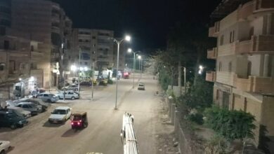 دسوق تضيء طريق التنمية.. إطلاق التيار الكهربائي لأعمدة الإنارة الجديدة