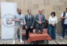 الكلم والوعى الجمعى