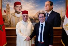 مسيرة سياسية ومهنية لفاطمة الزهراء المنصوري
