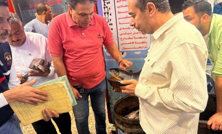 حملات رقابية مكثفة لحماية المواطنين خلال احتفالات المولد الإبراهيمي بدسوق 