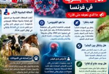 وحتى الآن، لا توجد أدلة على انتقال الفيروس من إنسان إلى آخر، بينما تواصل السلطات المختصة دراسة كيفية حدوث الإصابة وتقييم المخاطر المحتملة، مع التأكيد على أن المعلومات العلمية عن تأثير الفيروس على البشر لا تزال محدودة.