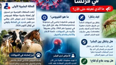 وحتى الآن، لا توجد أدلة على انتقال الفيروس من إنسان إلى آخر، بينما تواصل السلطات المختصة دراسة كيفية حدوث الإصابة وتقييم المخاطر المحتملة، مع التأكيد على أن المعلومات العلمية عن تأثير الفيروس على البشر لا تزال محدودة.